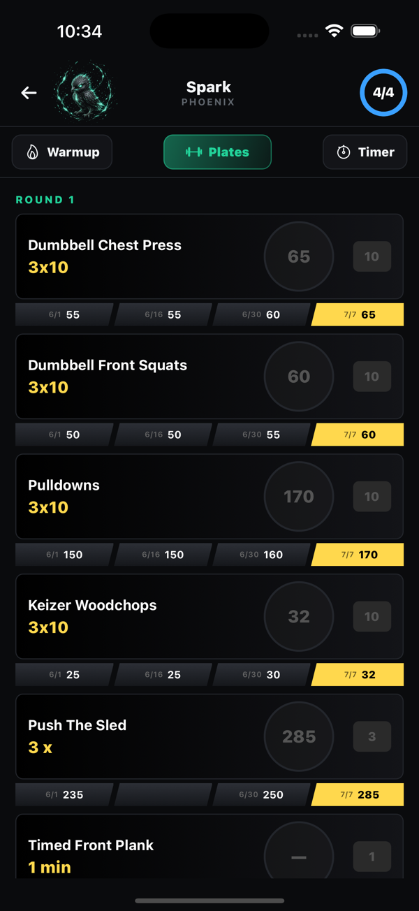 Workout screen with exercise history